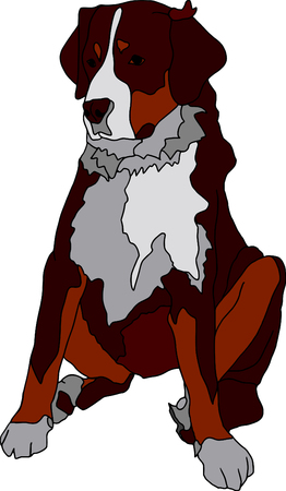 vector - Bern dog isolated on white backgroundのイラスト素材