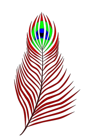  peacock feather eye on white background のイラスト素材