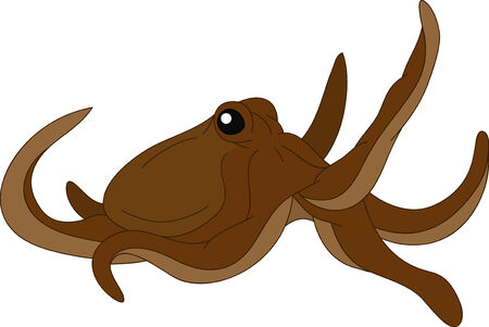 nice octopus isolated on backgroundのイラスト素材