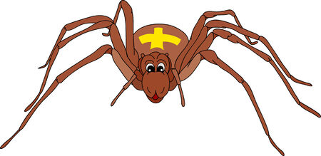  happy spider isolated on backgroundのイラスト素材