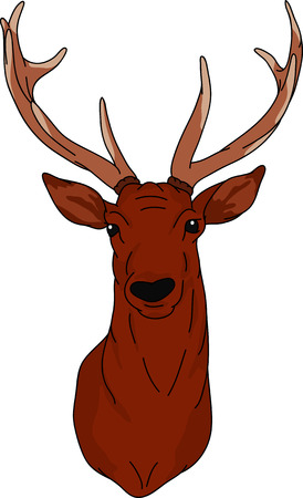 Deer - hand draw , isolated on backgroundのイラスト素材