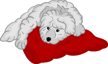 vector - small puppy lying on red pad, isolated on backgroundのイラスト素材
