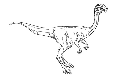 dinosaur , isolated on backgroundのイラスト素材