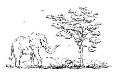 Elephant animal geometric isolated on background.のイラスト素材