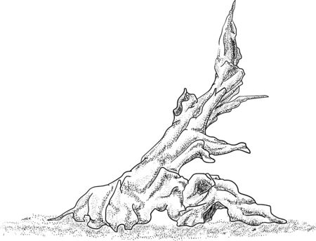 vector - fish tank - decoration -  isolated on bacgroundのイラスト素材