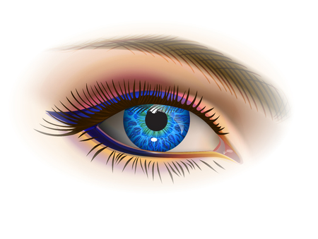Female blue eyeのイラスト素材