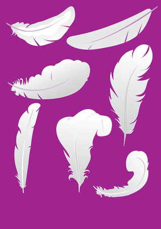 set of vector illustrations of air feather grayのイラスト素材