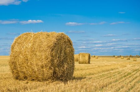 round haystack in a field, under a blue skyの写真素材