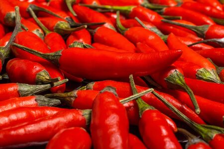 Close up group of fresh red organic hot chilli pepper.Vegetables in the tray market agriculture farm background, horizontalの写真素材