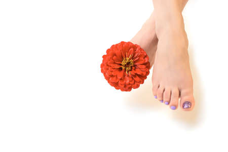 Women's feet with pedicure on nails and red flower decoration. Women's legs on a white background. decorated with red flower. natural cosmetics, spa, pedicure, skin care conceptの写真素材