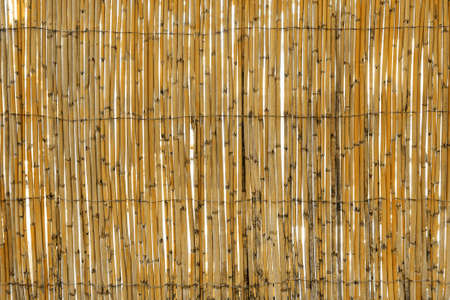 Texture of bamboo fence made of bamboo strips connected with a rusty metal wire. brown bamboo fence texture backgroundの写真素材