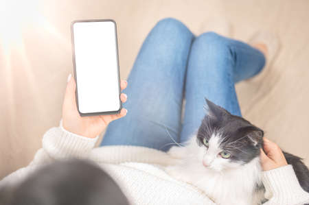 Woman using smartphone blank screen frameless modern design while lying on the sofa in home...