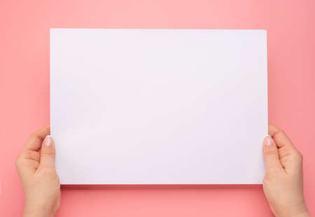 Female hands holding blank paper isolated on pink background. Woman hands with mockup empty paper...