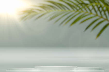 Summer light cosmetic stand mockup. natural beauty podium. modern product display. Copy space on showcase platform for marketing and presentingの写真素材