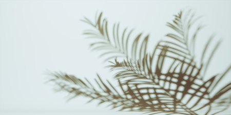 Shadow from palm leaves on gray wall background. Shadow tropical leaves of palm or fern on white...