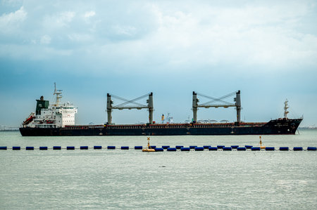 Singapore, Singapore, 24 January 2024: Cargo ship and tankers on Singapore Strait daytime. Cargo ships anchored in road, waiting to enter busiest port in regionのeditorial素材