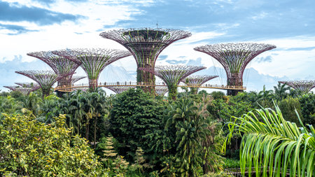 Singapore, 24 January 2024: Gardens by the Bay featuring Supertrees and lush tropical plants....