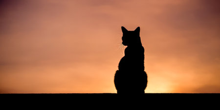 feline silhouette against warm sunset backdrop, serene cat profile in twilight, peaceful nature scene with striking orange and black contrastの写真素材