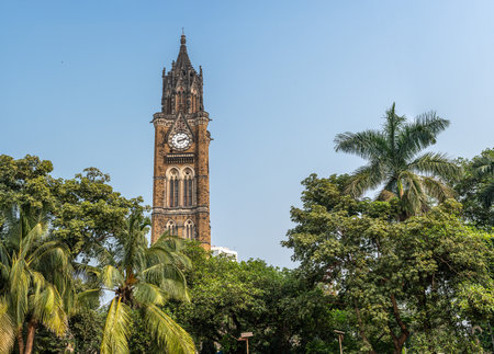Mumbai, India - 24 November 2024: Rajabai Clock Tower in Mumbai with detailed Gothic architecture, surrounded by green trees, clear blue sky, famous tourist landmark, historic significanceの写真素材