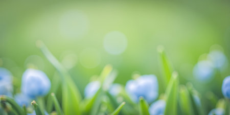 Blurred green background with blue flowers soft focus natural springtime serene background. abstract...