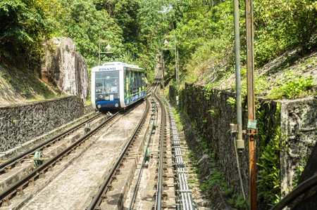 Penang Hill railway tracks leading into tunnel surrounded by lush greenery, steep incline funicular train route, scenic hillside view, popular travel destination, Malaysian heritage siteの写真素材