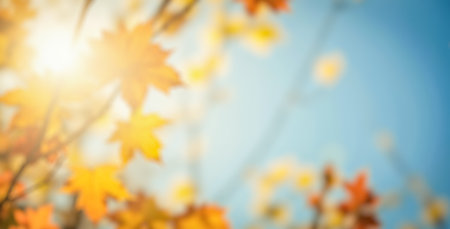 fall backdrop, golden foliage, bright sunshine, gentle blur, natural landscape, clear horizon, serene mood, crisp air, picturesque view, tranquil environment, forest charm radiant energyの写真素材