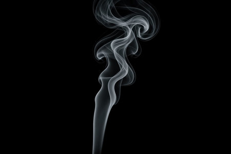 Delicate curling plume forms soft transparent shapes against dark studio setting offering dramatic overlay resource for compositing design artistic projectsの写真素材