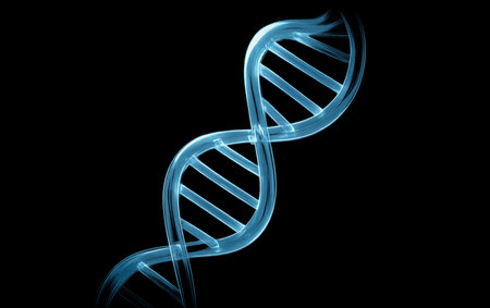 Blue luminous DNA structure, double helix gene model, isolated on black, modern design for science, lab, biotechnology, medicine, genome study, innovation, educational and medical backgroundの写真素材