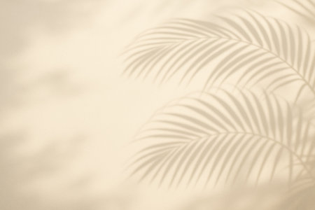 Softly palm shadow. diffused sunlight projects graceful foliage outline providing calm minimal stage suitable lifestyle skincare advertising layout, templateの写真素材