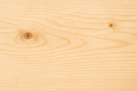 wooden plank with gentle texture highlighting organic curvature around small knot. website header hero images brochure design social media backgroundの写真素材