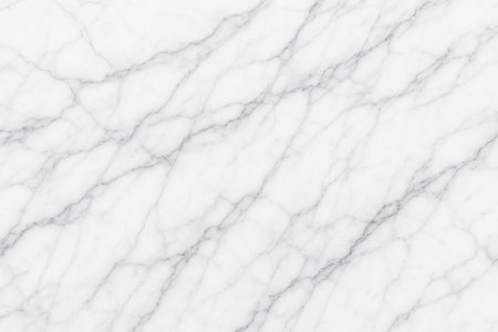 High resolution polished stone surface shows natural classy pattern great for countertop sample, product presentation, website banner, packaging, architecture visual, printingの写真素材