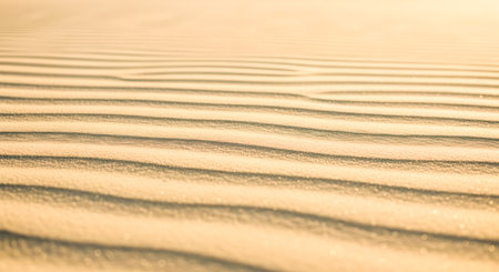 Wavy pattern on clean desert sand dune at sunset. Abstract background of wind waves for zen or travel wallpaperの写真素材