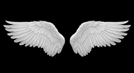 Two decorative bird wing for use as photo overlay or creative design element. Isolated angelic...