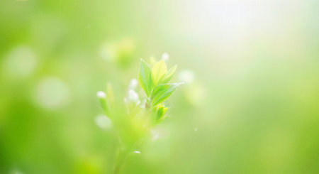 Beautiful nature background with young foliage in sun flare vibrant color vegetation abstract macro...