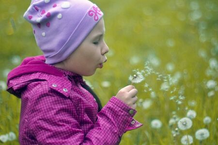 Girl blowing on dandelions.の写真素材