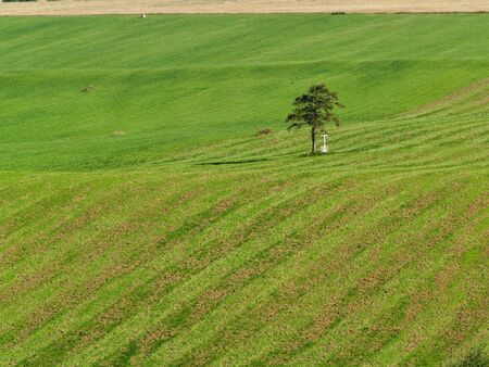 Lone Tree With Cross In The Fieldsの写真素材