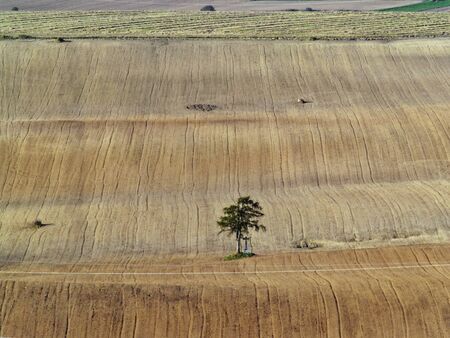 Lone Tree With Cross In The Fieldsの写真素材