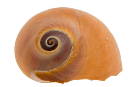 big spiral sink expressed on white background