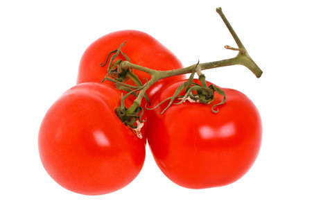 Branch of red, ripe tomatoes of the small sizeの写真素材