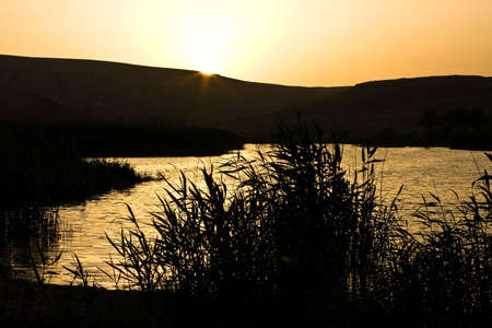 spring sundown on reedy lake in desertの写真素材