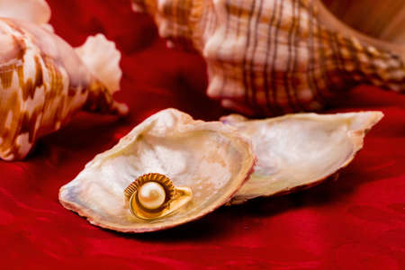 ring with pearl in half of the sinkの写真素材