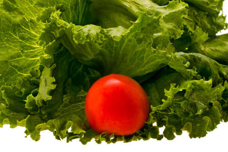 fresh lettuce and tomato expressed on white backgroundの写真素材