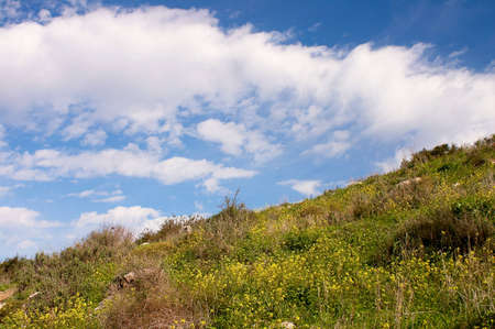 Spring flowering in hilly districtの写真素材