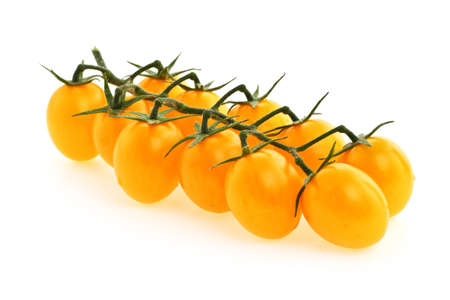 Branch of red, ripe tomatoes of the small sizeの写真素材