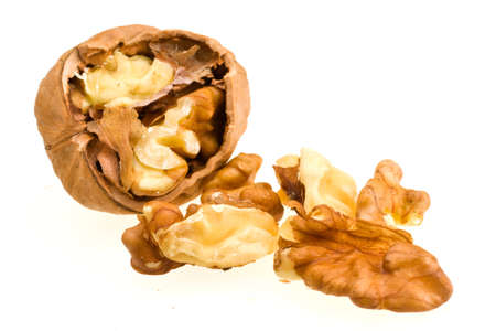 ripe in the walnut shell on white backgroundの写真素材