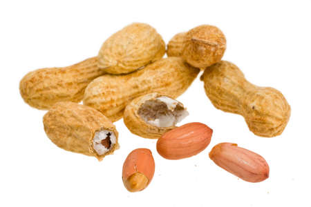 peanuts in the shell on a white backgroundの写真素材