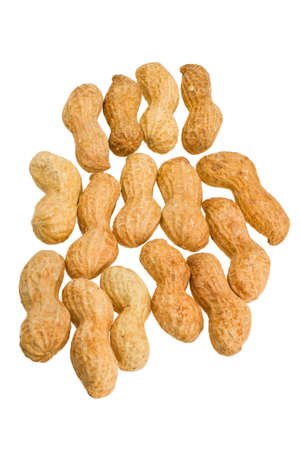 peanuts in the shell on a white backgroundの写真素材