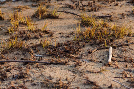 riverの写真素材