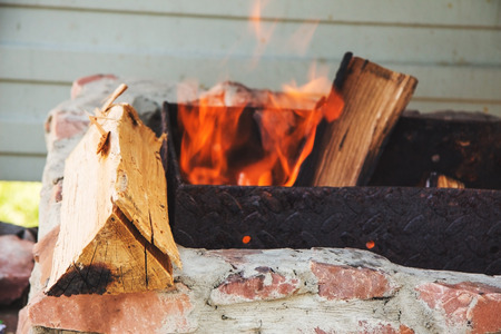 log of wood in the background of fire