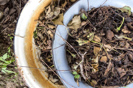 Vintage bowl with dried leaves